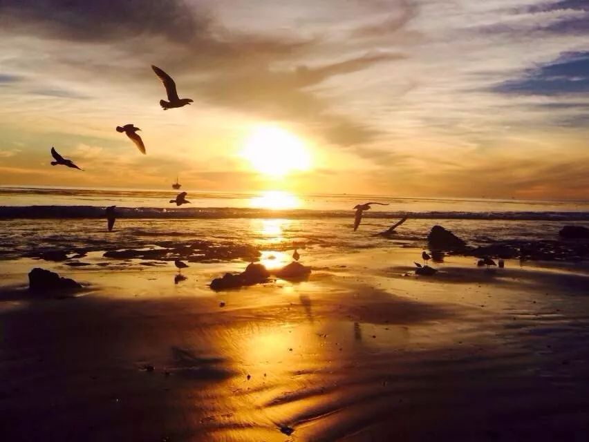 加州旅游攻略视频大全,加州旅游攻略