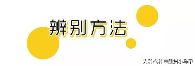 假代购曝光名单,假代购常用骗术揭秘