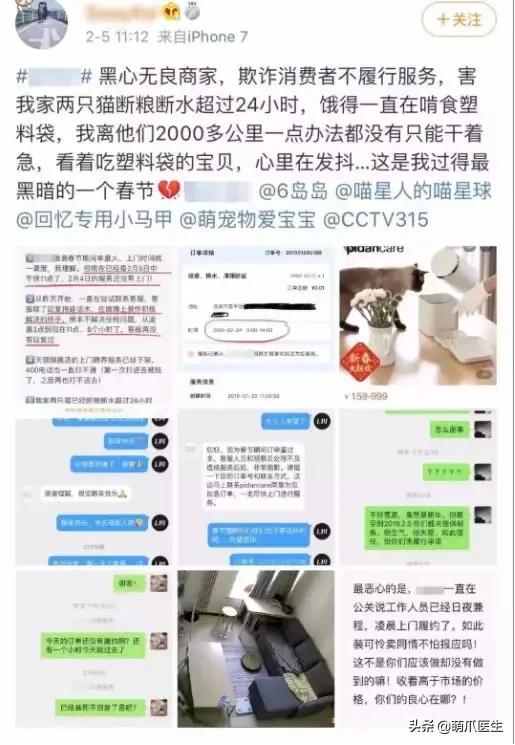 假期出行猫咪怎么安置,出去游玩5天猫咪该怎么办