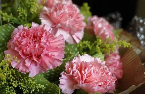 山东话说母亲节快乐,母亲节快乐