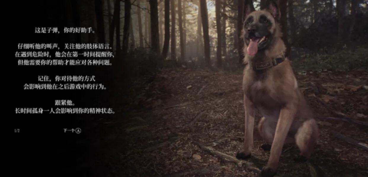 推荐几款好玩且容易入手的游戏,推荐一些上线有好玩儿的游戏