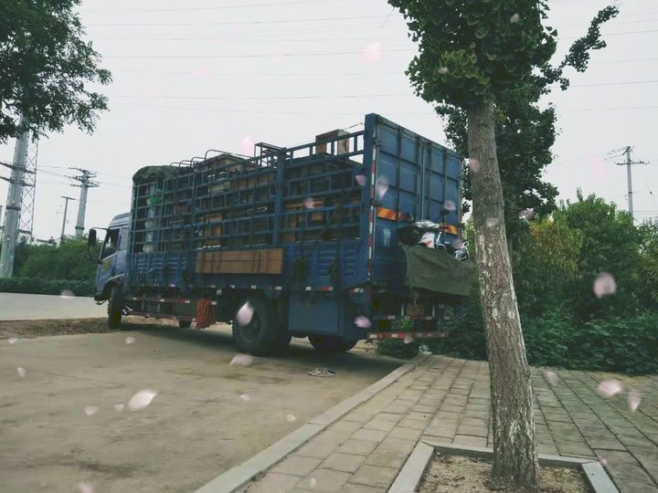 新西兰的蜂蜜好吗,新西兰的蜂蜜品牌排行