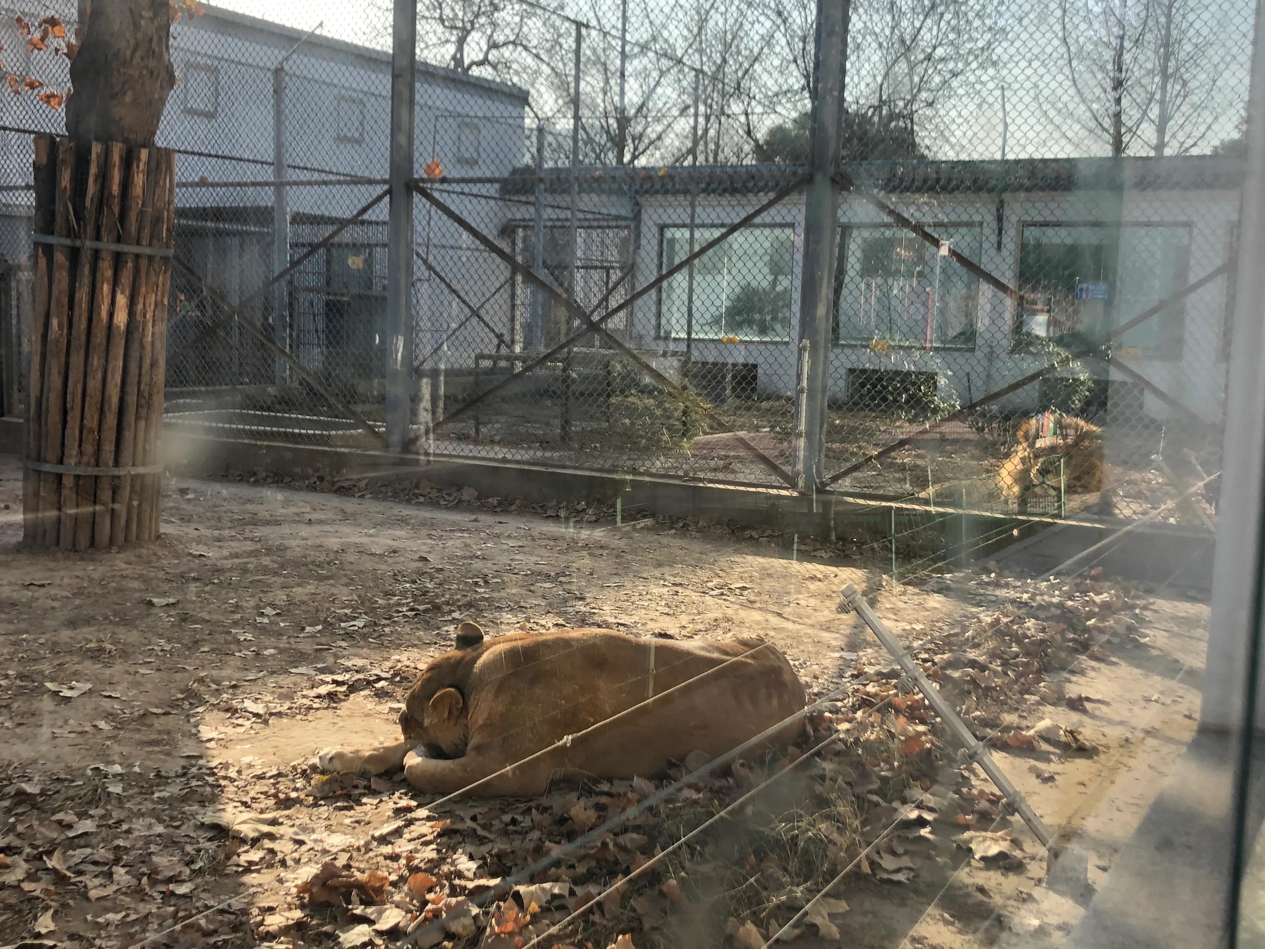 平顶山河滨公园旅游攻略,平顶山森林公园游记