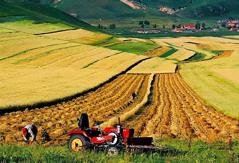 脑动脉硬化不及时治疗有什么后果,脑动脉硬化有7个征兆怎么治疗