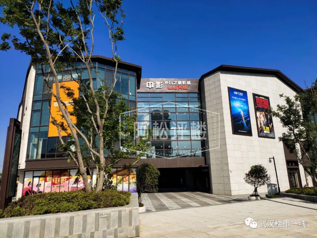 开挂了！比肩世界的爆款区域利好多到数不清！一般人已高攀不起