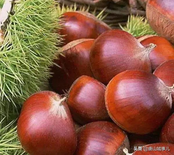 我叫唐山！请您听我说……