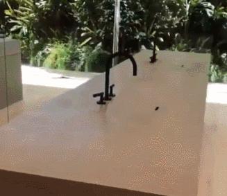 金卡戴珊家族豪宅风格,金卡戴珊豪华豪宅