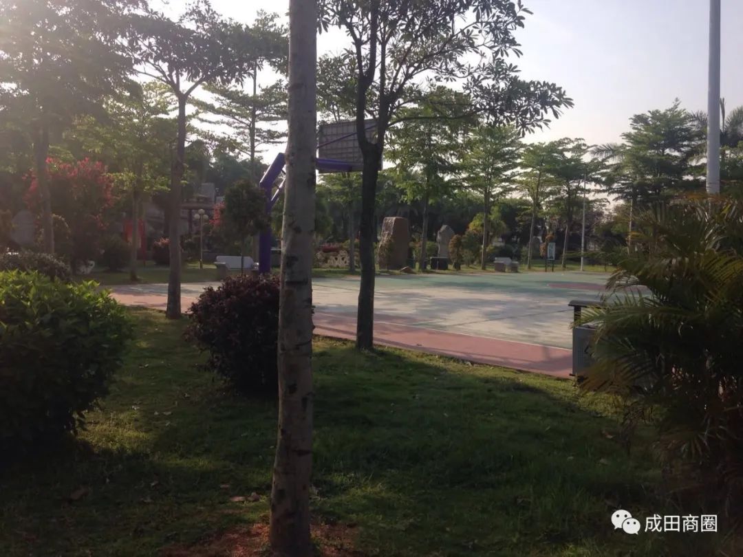 成田文化体育公园,成田镇体育馆