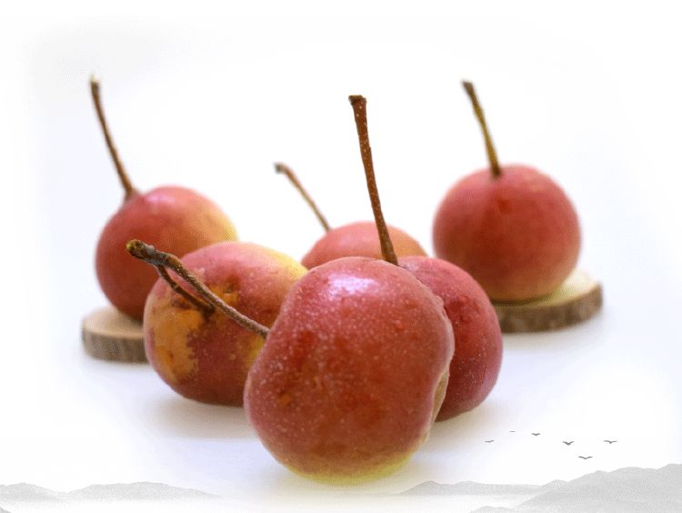 云品出滇入鲁,云品出滇鲜