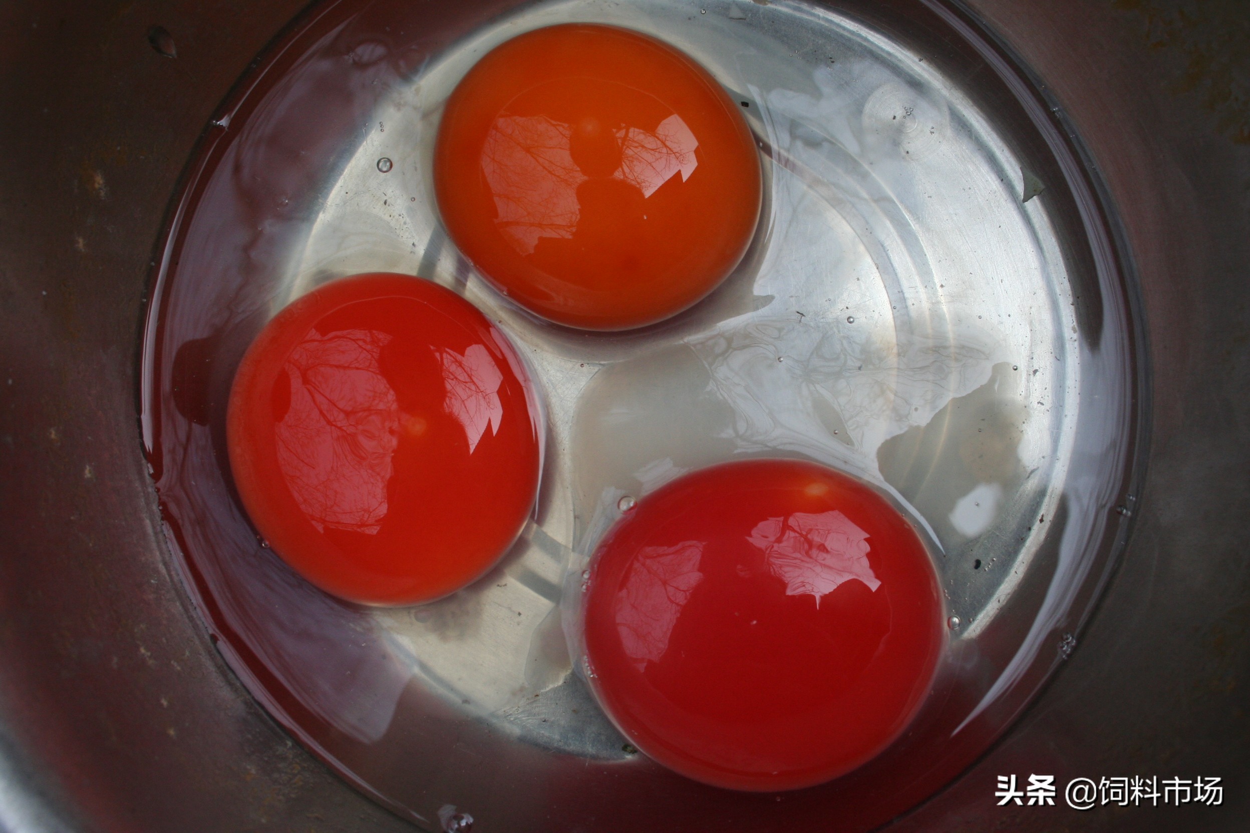 微山岛麻鸭,微山湖县城麻鸭