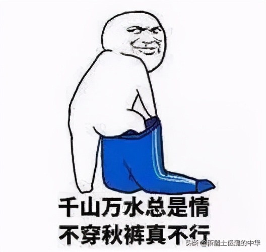 虱子虮子跳蚤的区别,虱子和虮子怎么消失的