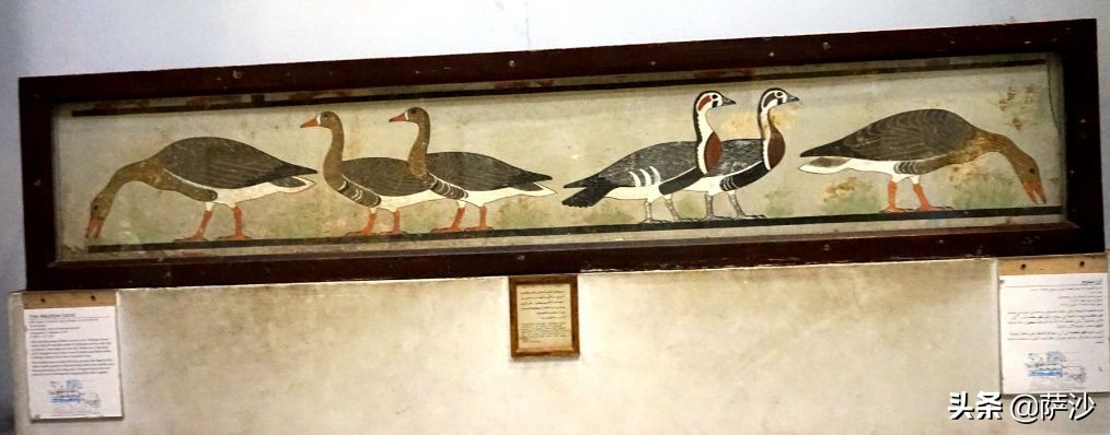 萨胖在埃及开罗差点遭遇*弹炸**袭击：萨沙埃及之旅第5天