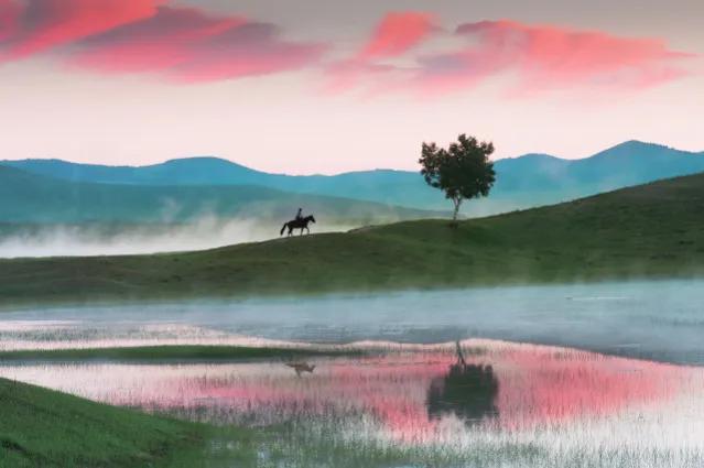 向阳而生随笔,朝阳初升的优美散文