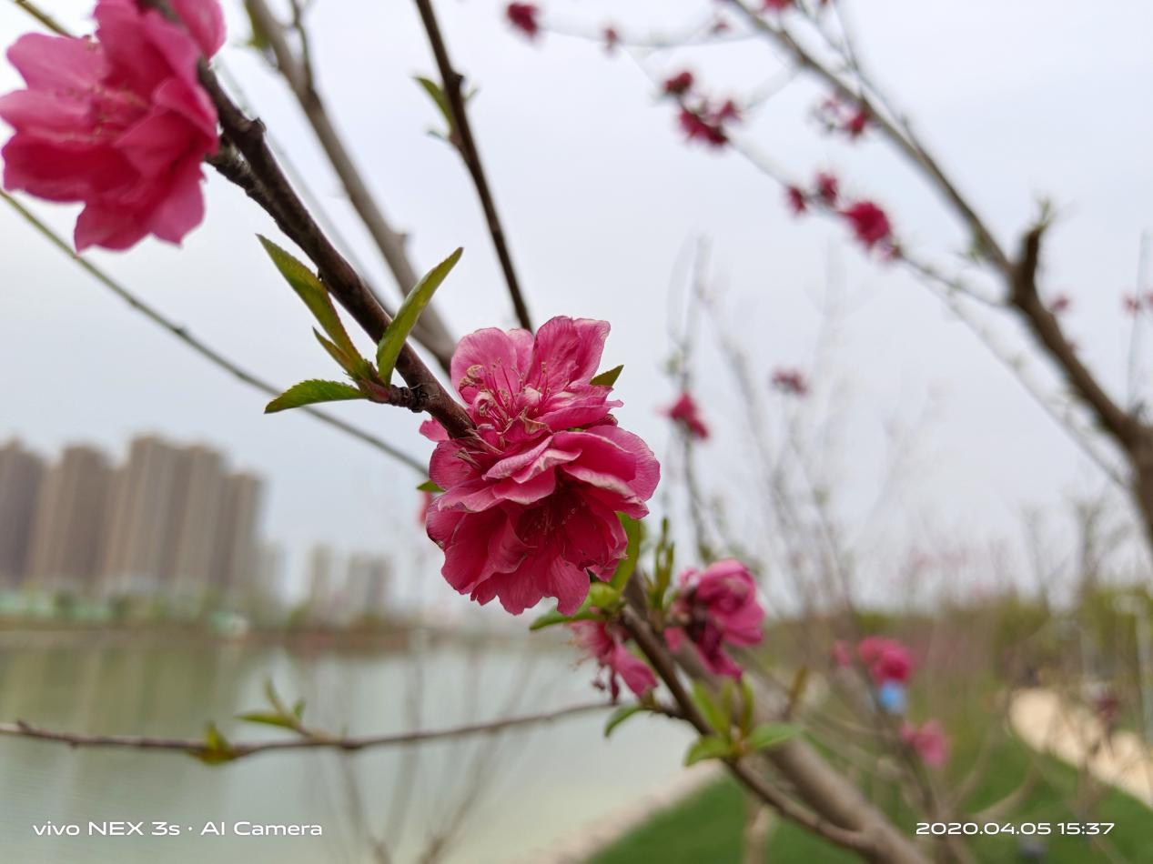 vivonex3s深度测评游戏性能,vivonex3s深度评测