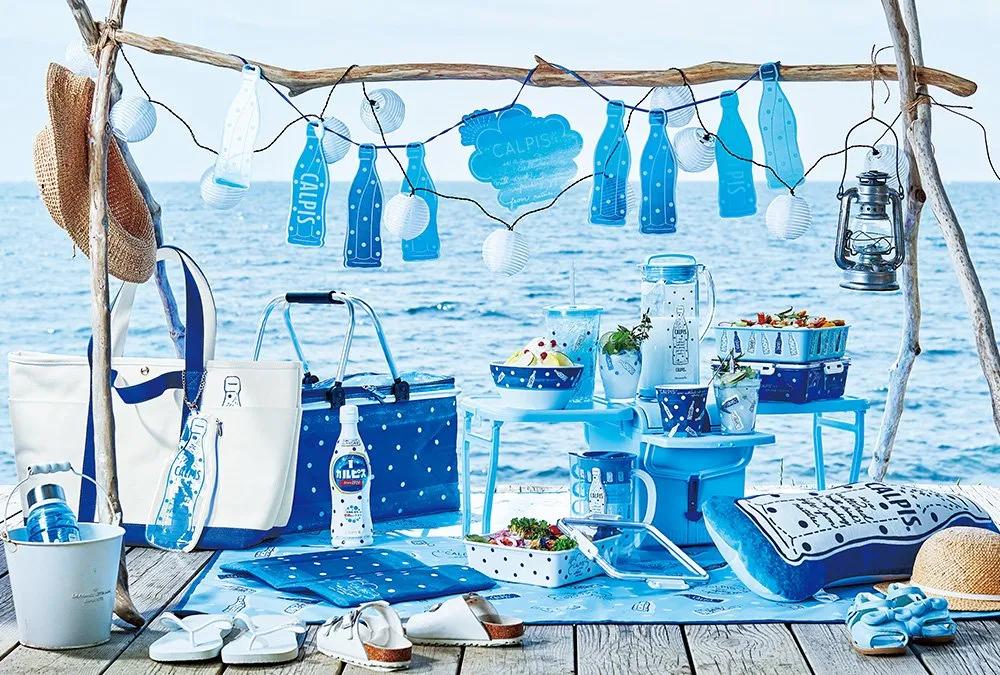 可尔必思营销启示,可尔必思营销方案