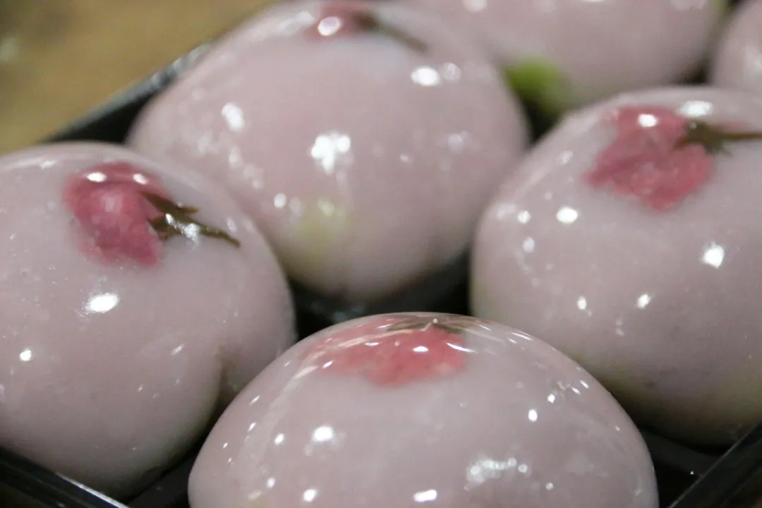 对同济大学的印象,你对同济大学有哪些认识