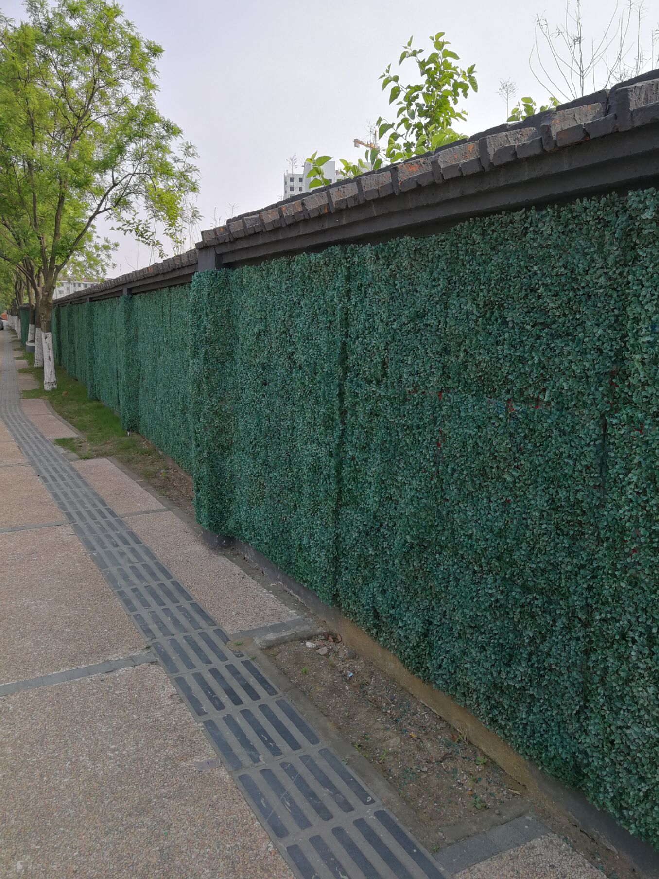 江阴锡澄运河的历史,锡澄运河老照片