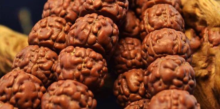 小金刚菩提梅花纹路什么价位,小金刚菩提什么纹路的最好