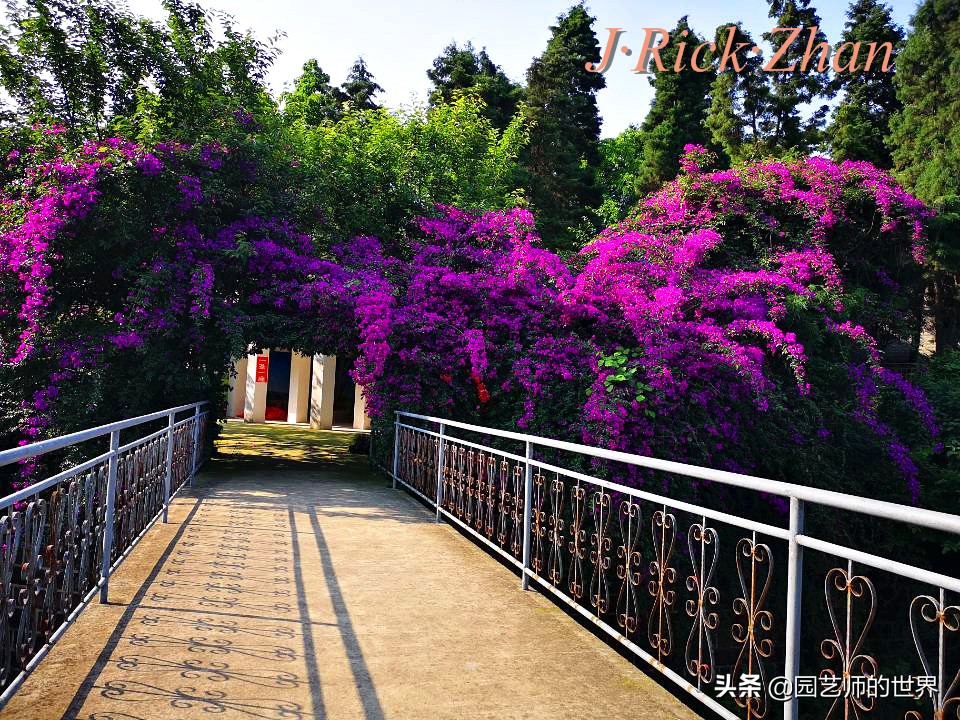 值得参观的国内优秀花园之品鉴（上篇）