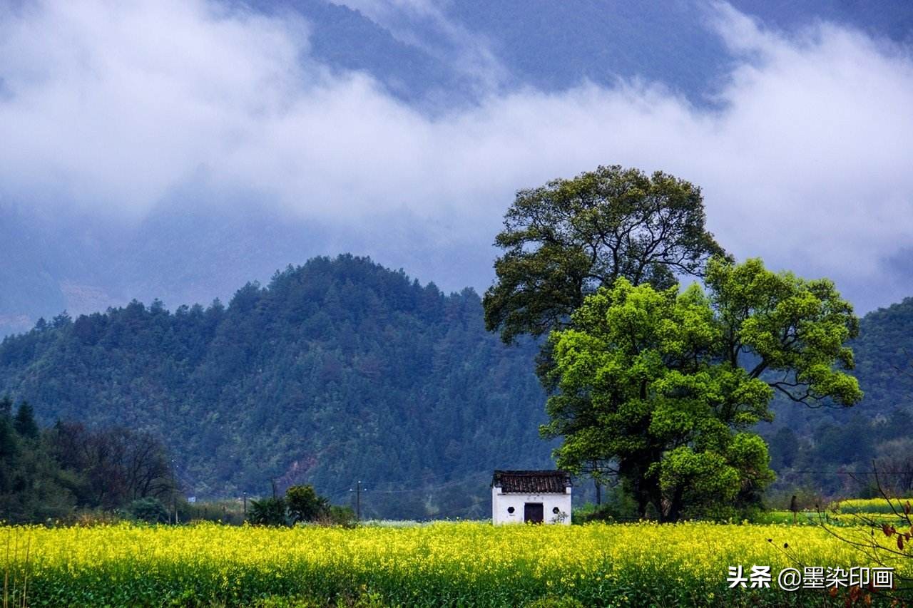 清明节拍摄风景图片,清明节全家踏青照片如何拍摄