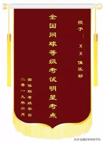 怎么进行网球水平等级考试,网球等级考怎么报名