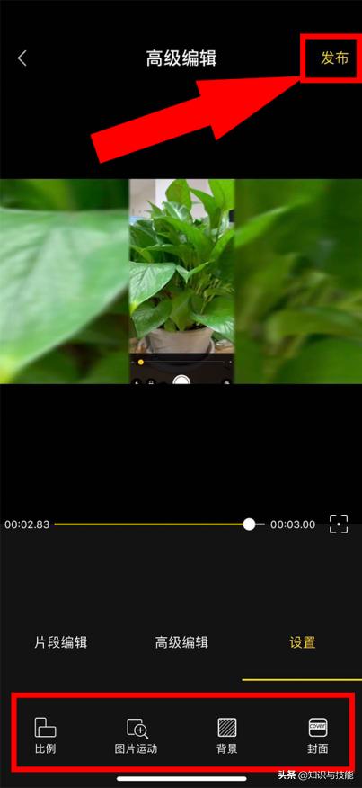 怎么把苹果实况照片转成gif动图,苹果手机如何制作gif动图