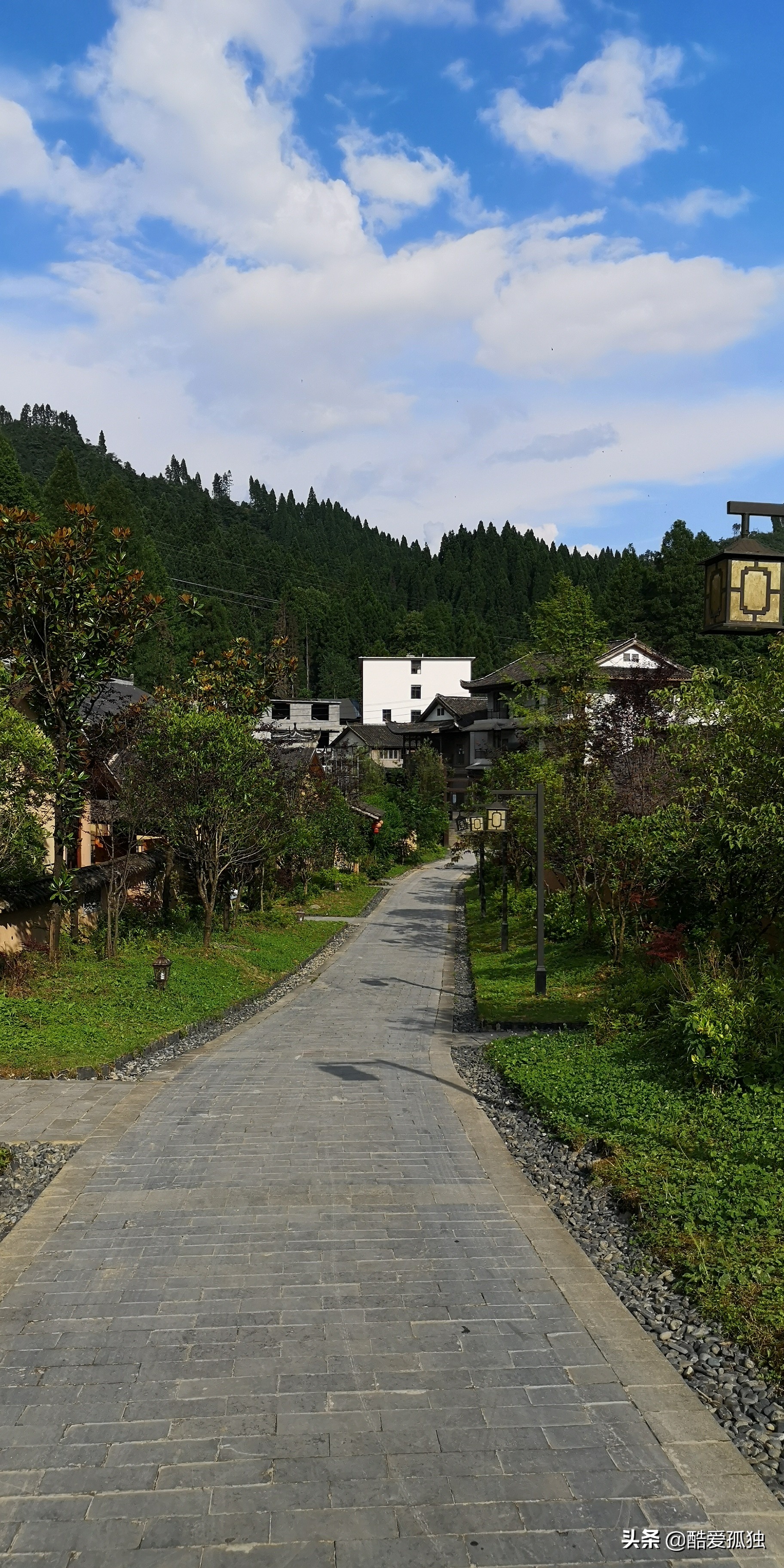 荣放双擎四驱精英plus放一夜没电,2.5荣放双擎plus和探岳四驱智联