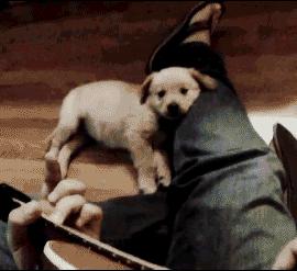 单曲循环百听不厌的dj新歌,2018年曾经单曲循环的歌