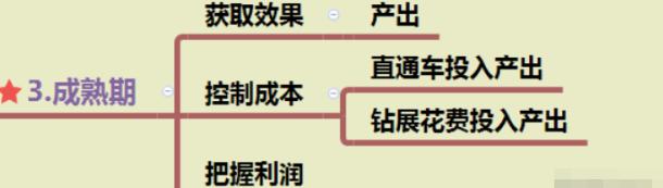 亚马逊爆款打造流程,7天教你打造爆款