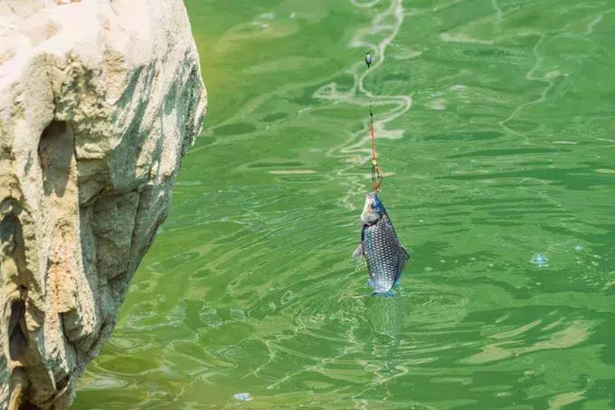 2022骞存仼鏂藉晢涓氶瓍鍔涙帓琛屾,榄呭姏鎵撳崱涔嬪煄鎭╂柦