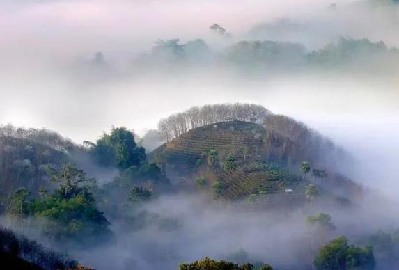 西双版纳泼水节野象谷,西双版纳旅游野象谷全攻略