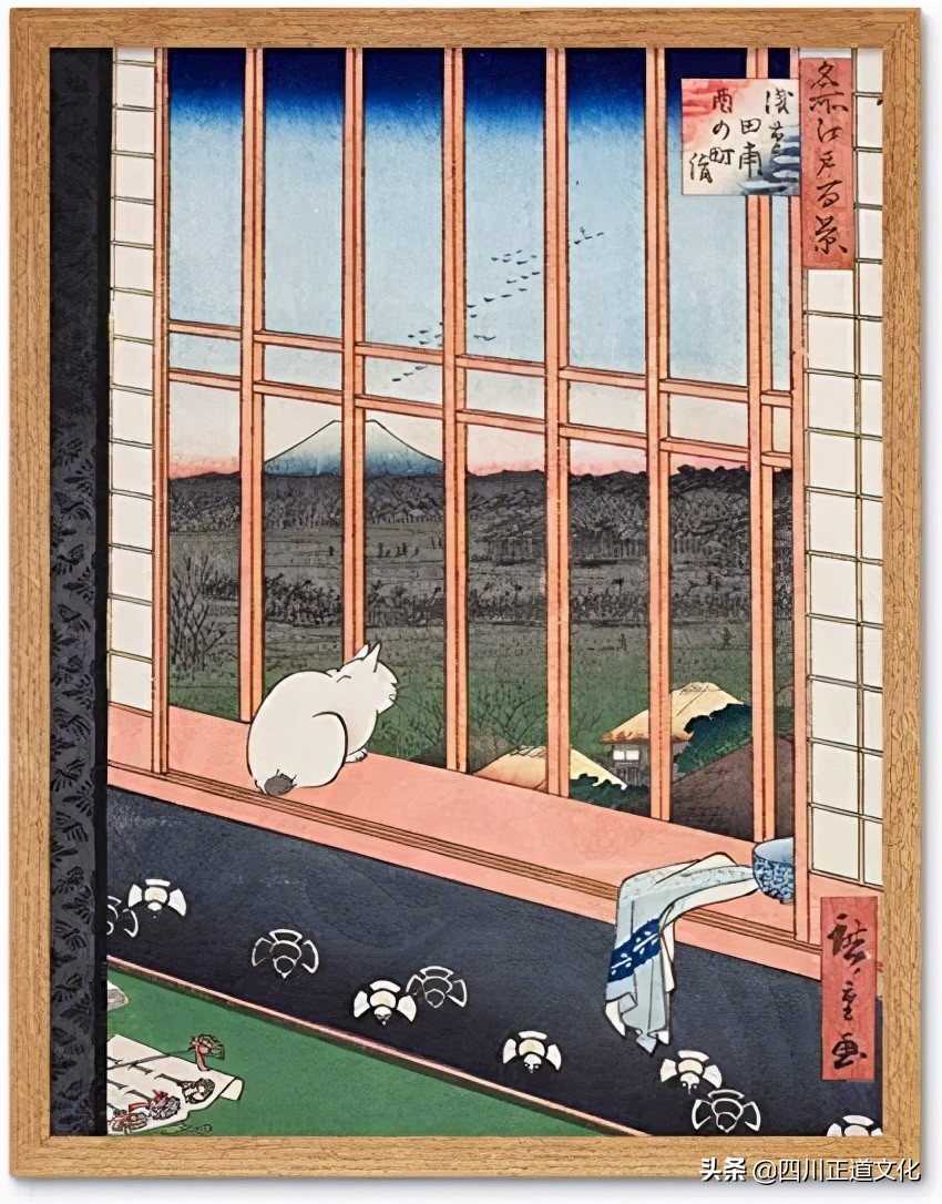 猫的故事高清图片,盘点猫的曾经故事