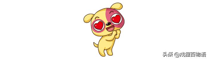 哎呀！狗狗发情了怎么办？