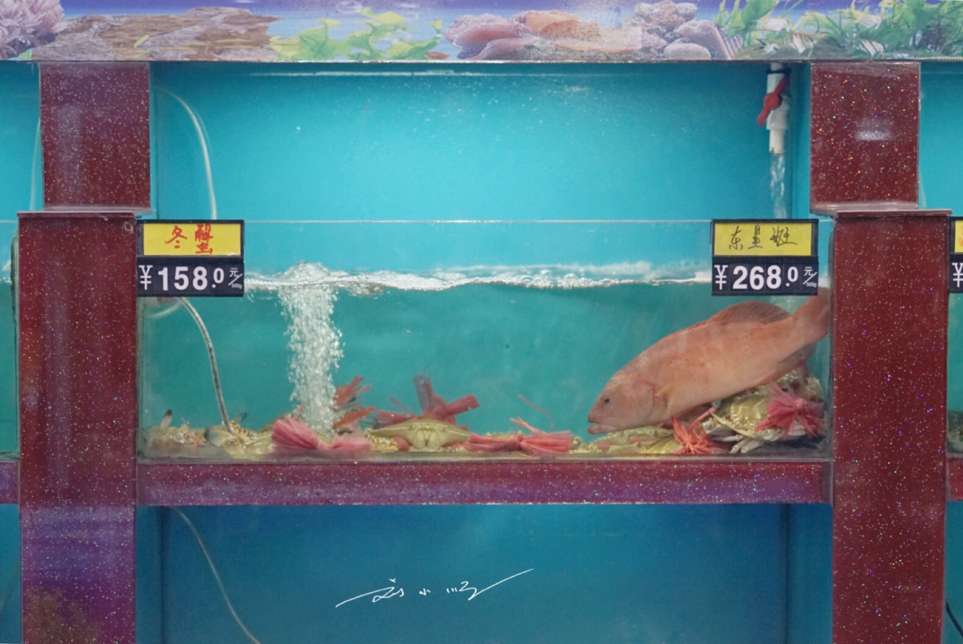 吃海鲜厦门好还是泉州好,厦门适合吃海鲜的地方推荐