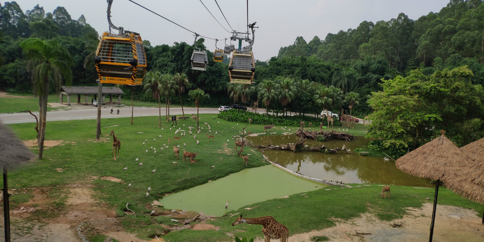 珠海长隆家庭项目攻略,广州长隆四大园区亲子游玩