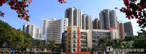 深圳民办初中招生,深圳十大民办初中学校排名