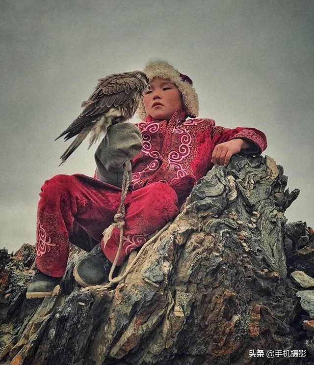 ippa摄影大赛年度总冠军,ippa摄影大赛2014