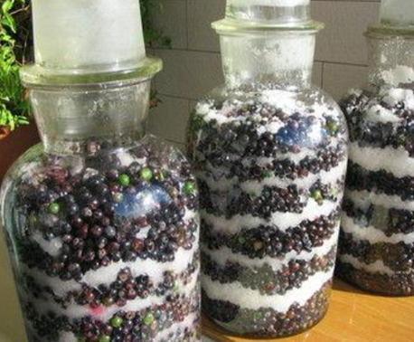 自制葡萄酒9岁以上的儿童能喝吗,自制葡萄酒上面一层白霉怎么处理