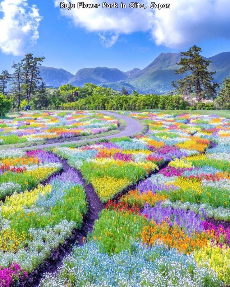 50张照片每一张都让人赞叹不已,50张让人叹为观止的照片