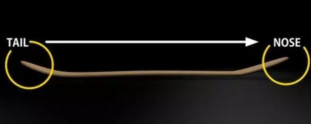 滑板新手长板入门选什么样的滑板,是小鱼型滑板好还是双翘型滑板好