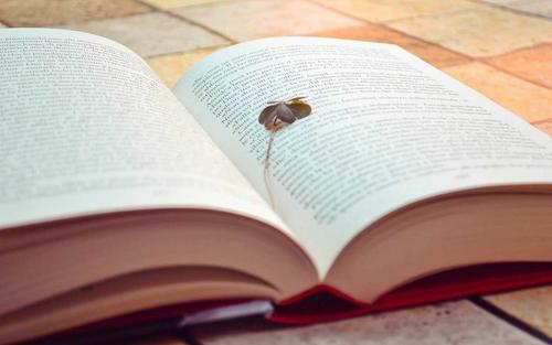 五六年级组|文学梦想家计划特等奖作文展示，康康你最pick哪一个