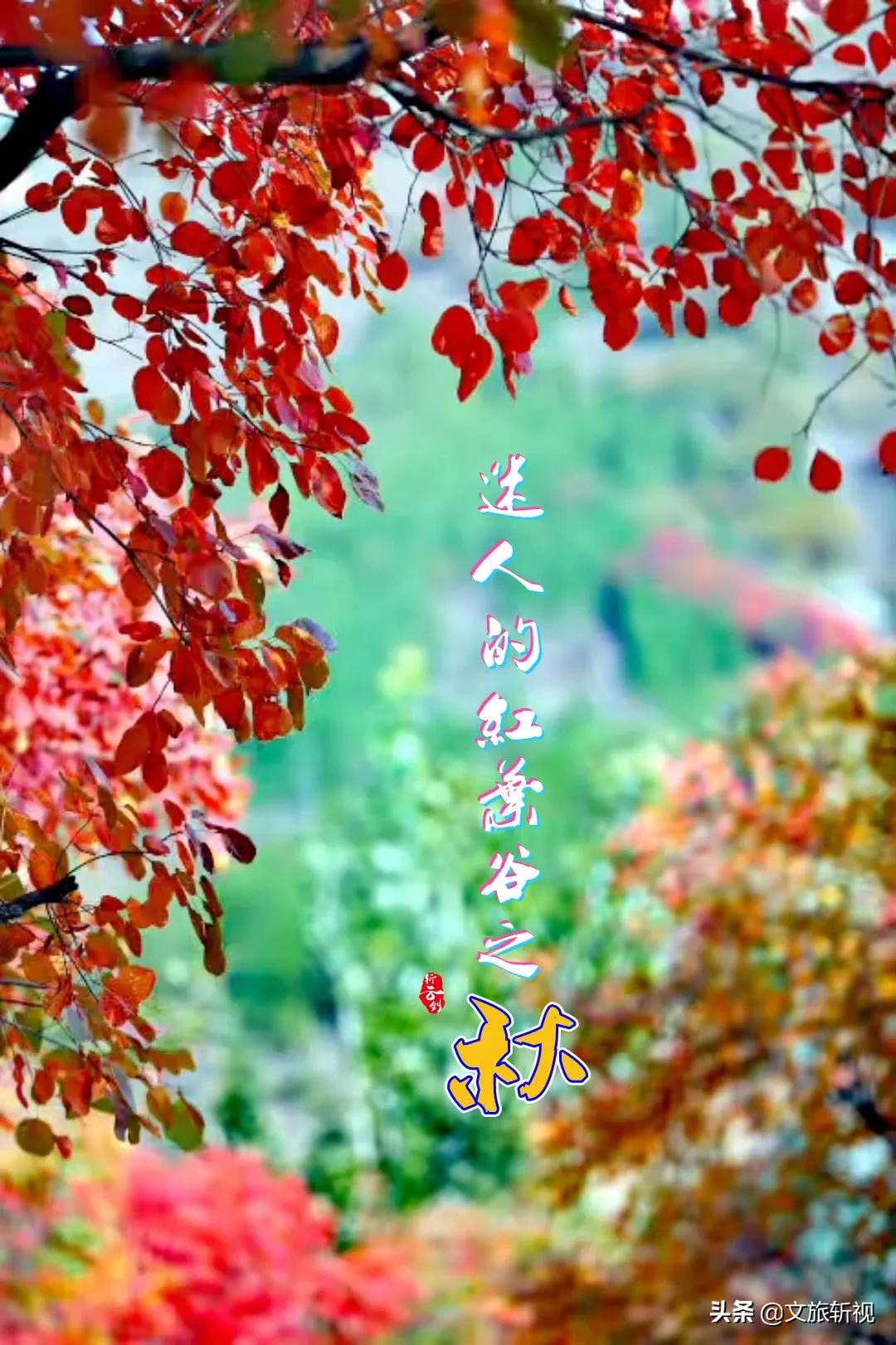 走过南闯过北还是老家最美,走过祖国大江南北还是河南最美