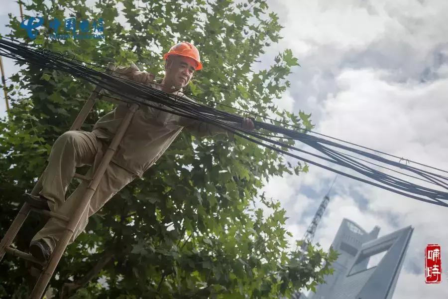 魔都十二时辰,魔都电信