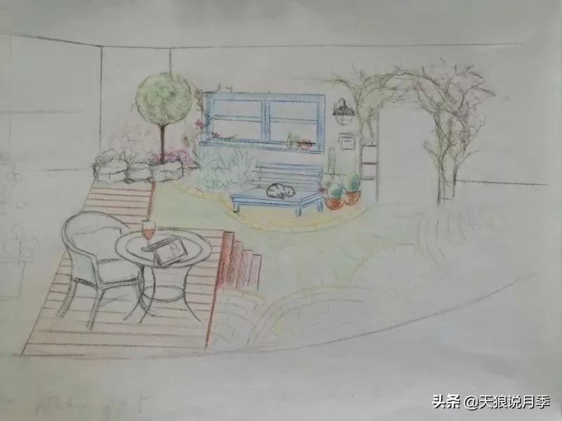 天狼月季优惠活动时间,天狼月季618活动