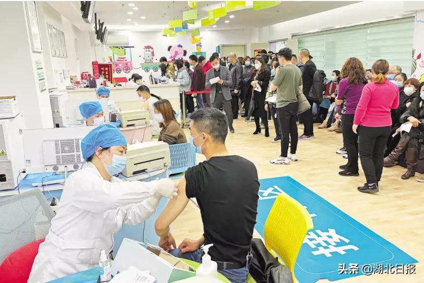 长文最新更新视频,重磅文章最新