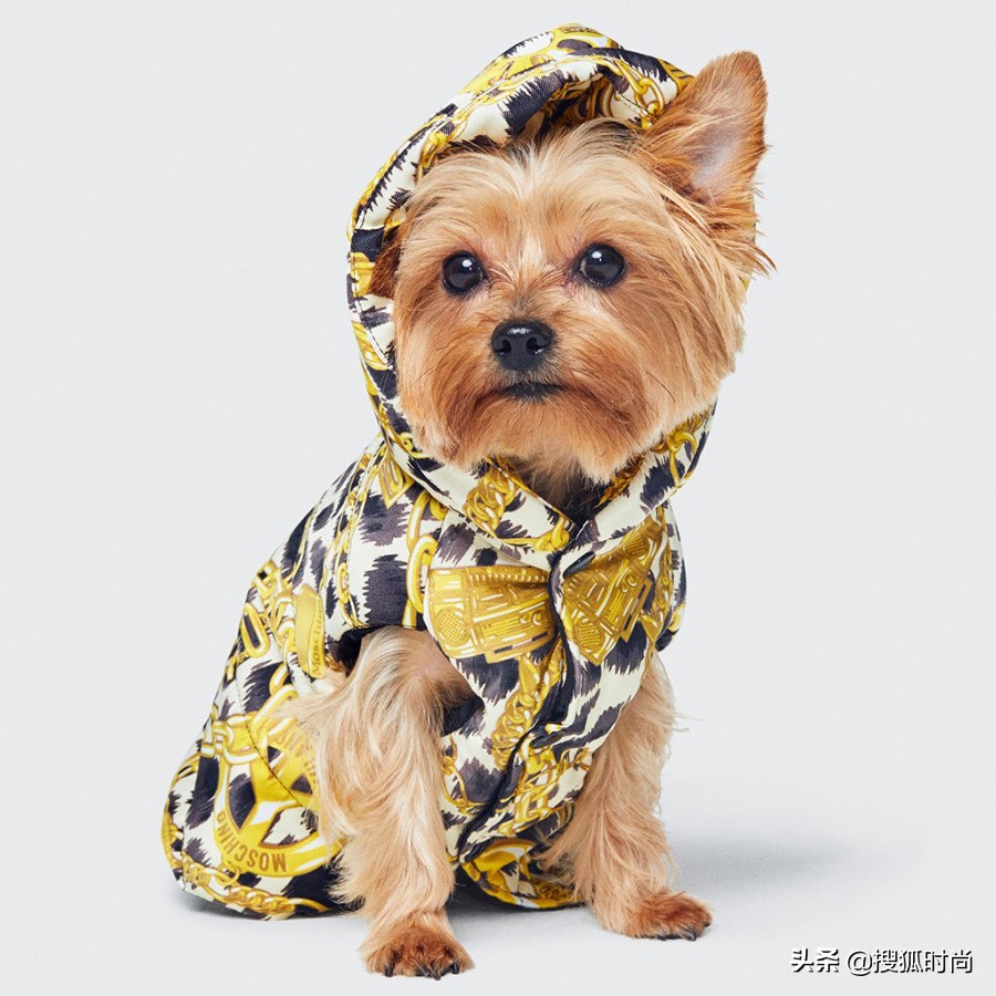 李宇春、杨幂同款仙女裙,千元就能拿下