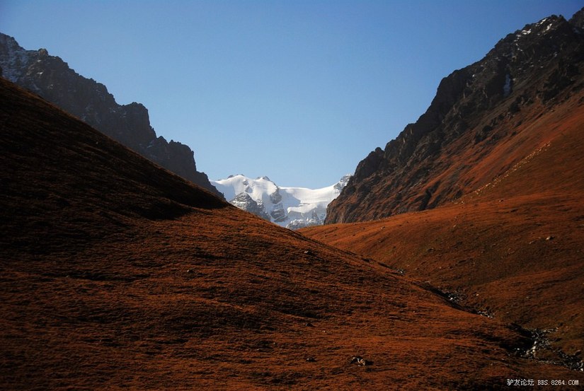 狼c调简谱教唱,狼c