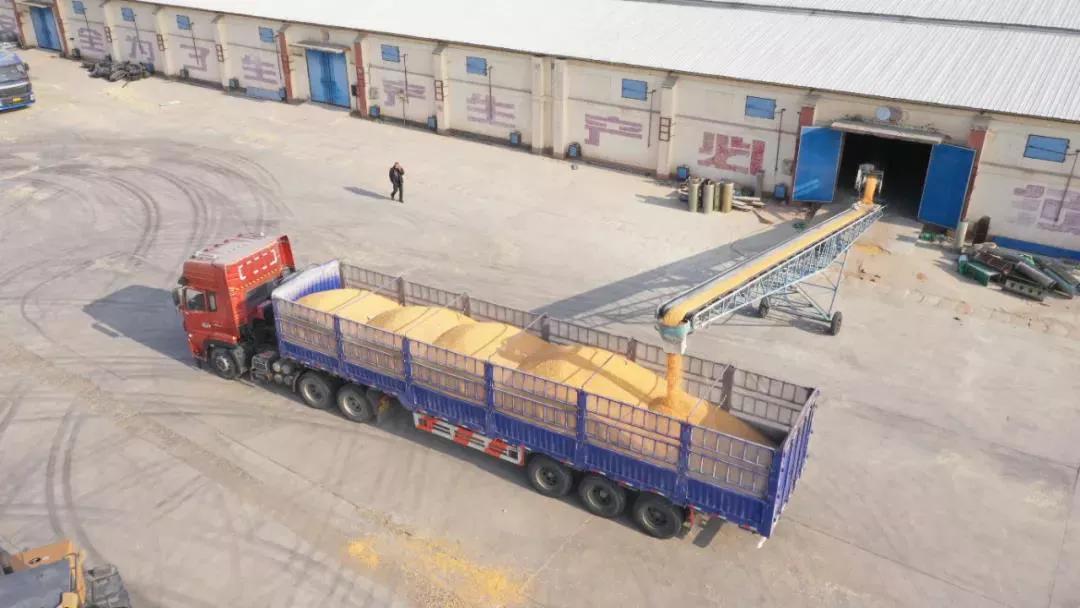 “内蒙古粮仓”通辽市：粮食增产又增收