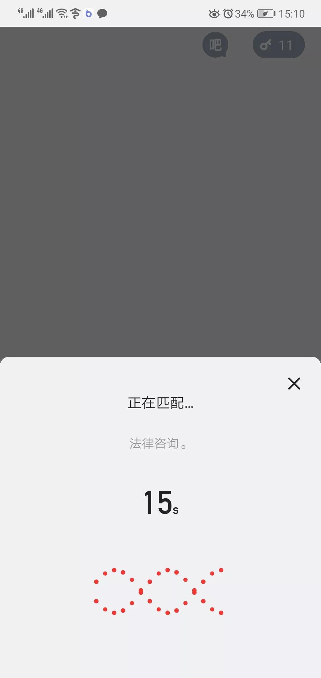 王欣灵鸽app是什么软件,王欣灵鸽app怎么下载