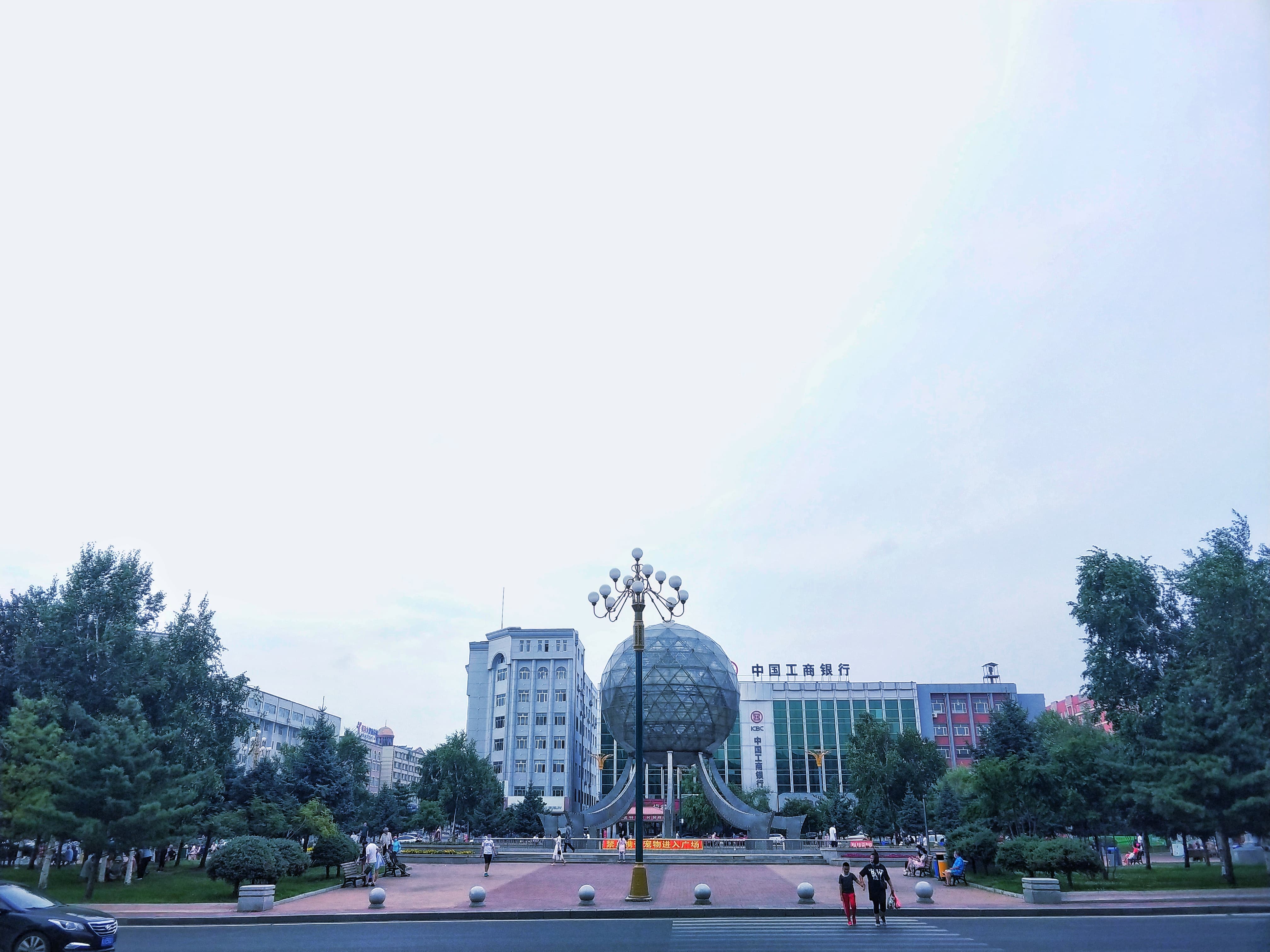 实不相瞒，我就是鹤岗的女婿